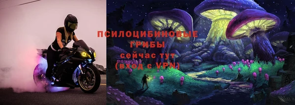 мяу мяу мука Иннополис
