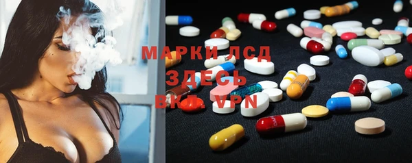 мяу мяу мука Иннополис
