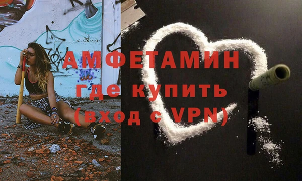 мяу мяу мука Иннополис