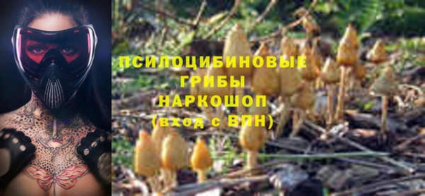 мяу мяу мука Иннополис