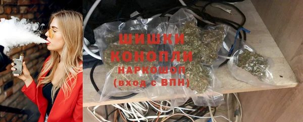 мяу мяу мука Иннополис