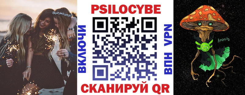 Купить  Ессентукская  Галлюциногенные грибы Cubensis 